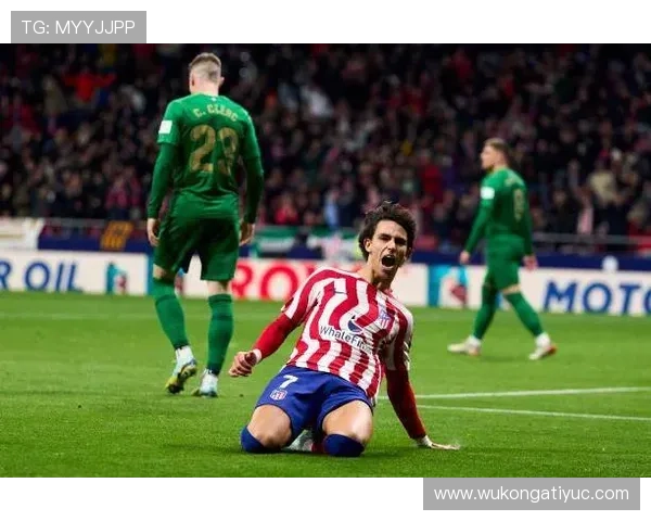 从西蒙尼体系到技术解放:菲利克斯的适配难题