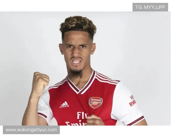 威廉·萨利巴：法国国家队轮换体系中的角色分析