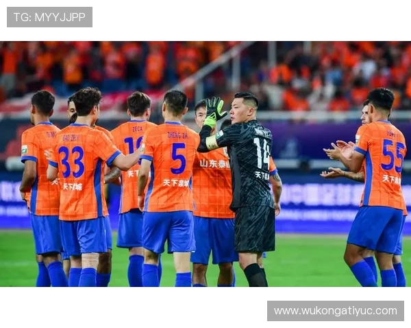 守门员禁区犯规判定要点：推搡、拉扯或手球多为点球